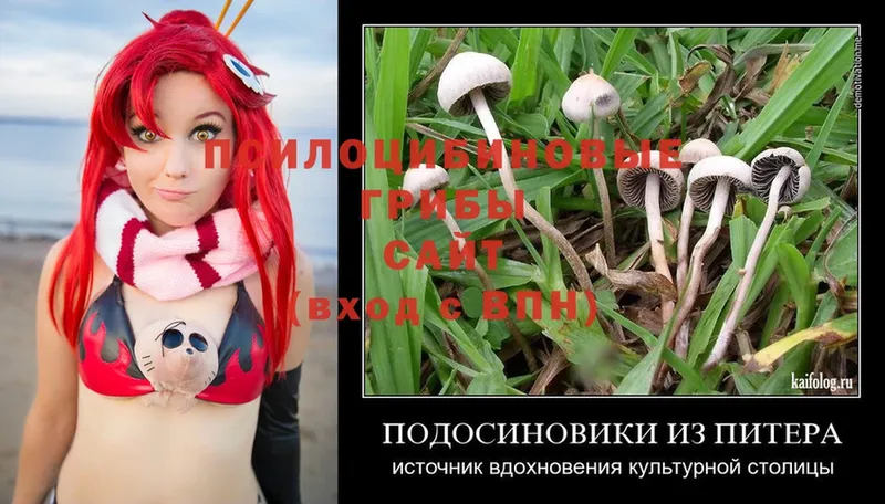 Купить наркотики сайты Сковородино COCAIN  Канабис  А ПВП  Гашиш  Меф мяу мяу 